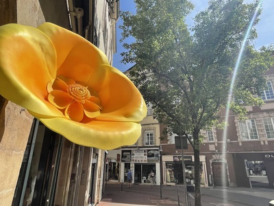 Un centre-ville en fleurs… géantes !
